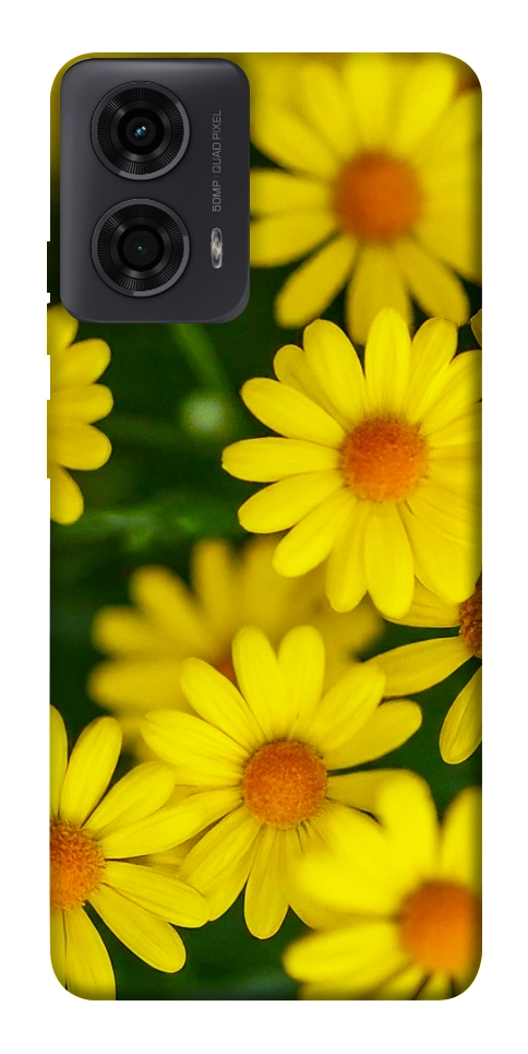 Чохол Yellow chamomiles для Motorola Moto G24