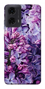 Чехол Violet blossoms для Motorola Moto G24