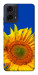 Чехол Sunflower для Motorola Moto G24