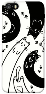 Чохол Чорно-білі коти для iPhone 5