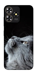 Чехол Cute cat для ZTE Blade A73 4G