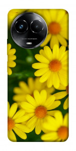 Чохол Yellow chamomiles для Realme C67 4G