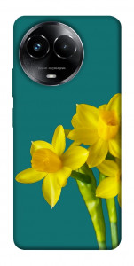 Чохол Golden Daffodil для Realme C67 4G