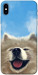 Чехол Samoyed husky для iPhone X