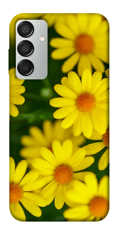 Чохол Yellow chamomiles для Galaxy M15 5G