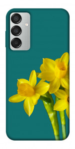 Чохол Golden Daffodil для Galaxy M15 5G