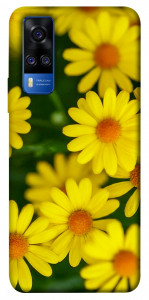 Чехол Yellow chamomiles для Vivo Y51a