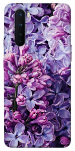 Чехол Violet blossoms для OnePlus Nord