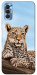 Чохол Proud leopard для TECNO Spark 8P