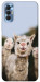 Чехол Funny llamas для TECNO Spark 8P