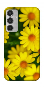 Чохол Yellow chamomiles для Galaxy M35 5G