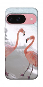 Чохол Flamingos для Google Pixel 9