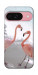 Чехол Flamingos для Google Pixel 9