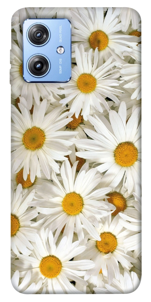 Чехол Chamomile для Motorola Moto G84