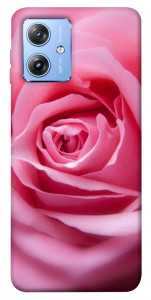 Чехол Pink bud для Motorola Moto G84