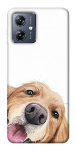 Чохол Funny dog для Motorola Moto G54