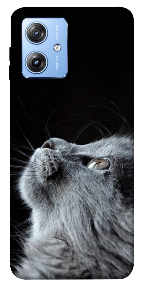 Чехол Cute cat для Motorola Moto G84