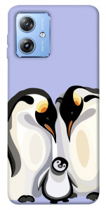 Чехол Penguin family для Motorola Moto G84