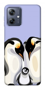 Чехол Penguin family для Motorola Moto G54