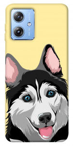 Чехол Husky dog для Motorola Moto G84