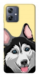 Чохол Husky dog для Motorola Moto G54