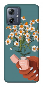 Чохол Chamomile mood для Motorola Moto G54