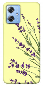 Чехол Lavender art для Motorola Moto G84