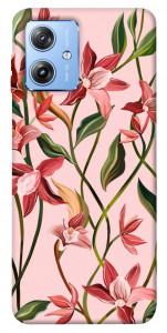 Чехол Floral motifs для Motorola Moto G84