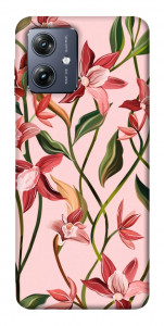 Чохол Floral motifs для Motorola Moto G54