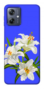 Чохол Three lilies для Motorola Moto G54