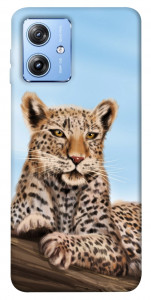 Чехол Proud leopard для Motorola Moto G84