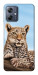 Чохол Proud leopard для Motorola Moto G54