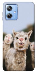 Чехол Funny llamas для Motorola Moto G84