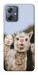 Чохол Funny llamas для Motorola Moto G54