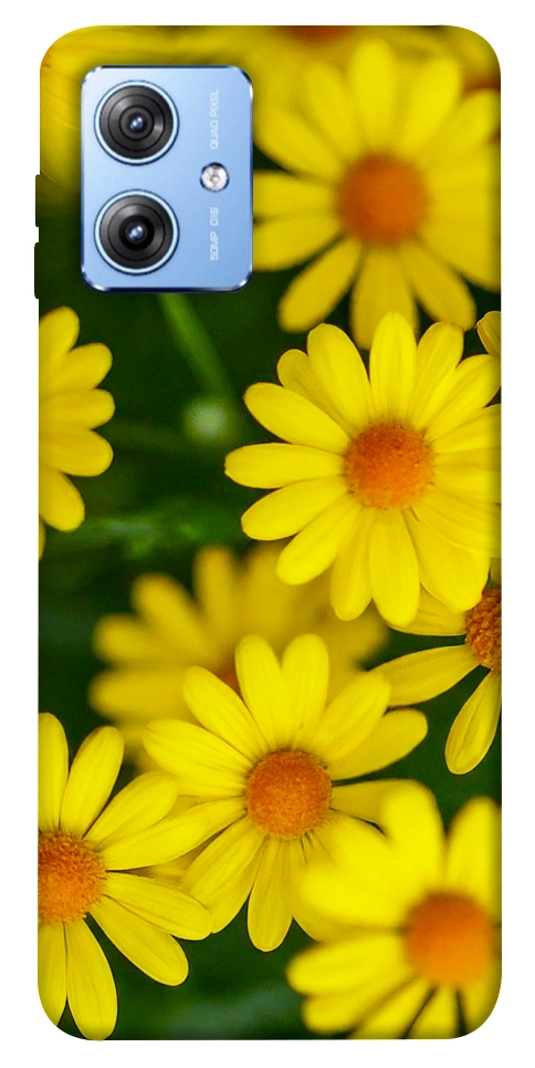 Чехол Yellow chamomiles для Motorola Moto G84