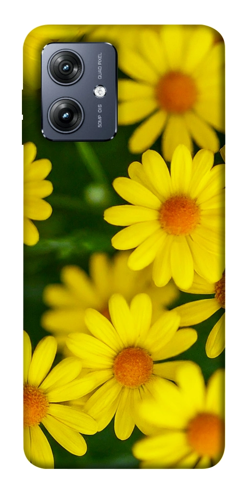 Чехол Yellow chamomiles для Motorola Moto G54