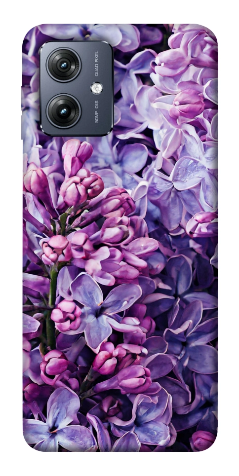 Чохол Violet blossoms для Motorola Moto G54