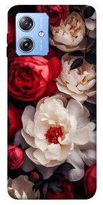 Чехол Velvet roses для Motorola Moto G84