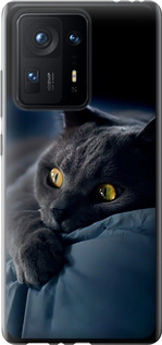 Чехол на Xiaomi Mix 4 Дымчатый кот 825u-2475 (Серый)