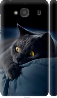 Чехол на Xiaomi Redmi 2 Дымчатый кот 825c-98 (Серый)