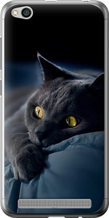 Чехол на Xiaomi Redmi 5A Димчастий кіт 825t-1133 (Сірий)