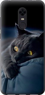 Чехол на Xiaomi Redmi 5 Plus Дымчатый кот 825u-1347 (Серый)