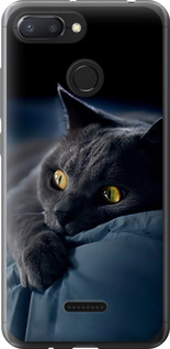 Чохол на Xiaomi Redmi 6 Димчастий кіт 825t-1521 (Сірий)