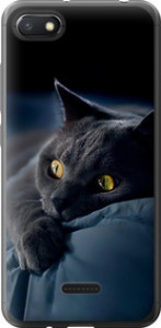 Чохол на Xiaomi Redmi 6A Димчастий кіт 825u-1531 (Сірий)