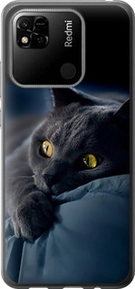 Чохол для Xiaomi Redmi 10A Димчастий кіт 825t-2578 (Сірий)