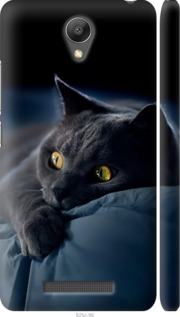 Чехол на Xiaomi Redmi Note 2 Дымчатый кот 825m-96 (Серый)