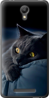 Чехол на Xiaomi Redmi Note 2 Дымчатый кот 825t-96 (Серый)