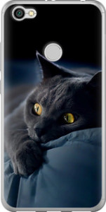 Чехол на Xiaomi Redmi Note 5A Prime Дымчатый кот 825u-1063 (Серый) для Xiaomi Redmi Y1
