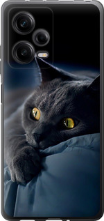 Чохол на Xiaomi Redmi Note 12 Pro 5G Димчастий кіт 825u-2932 (Сірий)