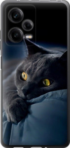 Чохол на Xiaomi Redmi Note 12 Pro 5G Димчастий кіт 825u-2932 (Сірий)